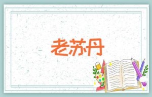 老苏丹