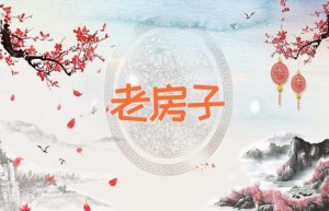 老房子