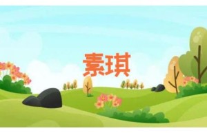 素琪