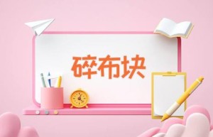 碎布块