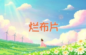 烂布片