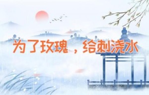为了玫瑰，给刺浇水
