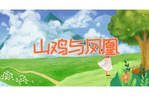 山鸡与凤凰