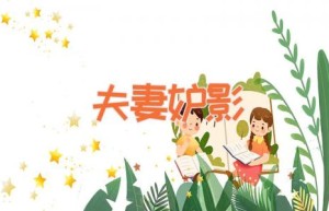夫妻妒影