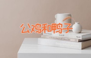 公鸡和鸭子