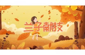 兰子献技