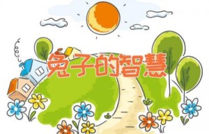 兔子的智慧