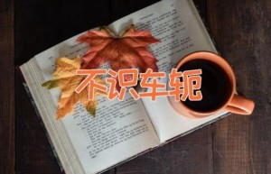 不识车轭