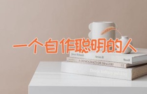 一个自作聪明的人