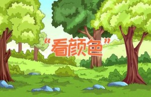 “看颜色”