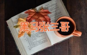 黑马张三哥