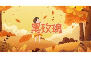 黑玫瑰