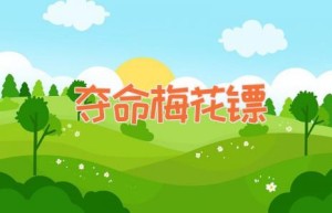 夺命梅花镖