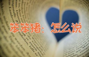 笨笨猪：怎么说
