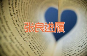 张良进履
