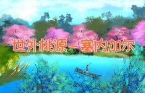 世外桃源－塞内加尔