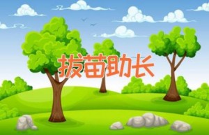 拔苗助长