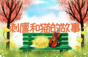 刺猬和猫的故事
