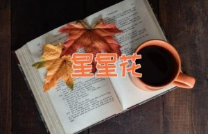 星星花