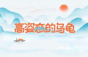 高姿态的乌龟