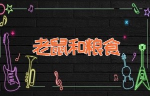 老鼠和粮食