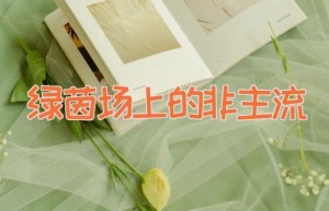 绿茵场上的非主流