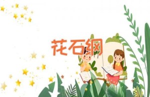花石纲
