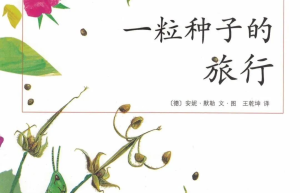 一粒种子的旅行