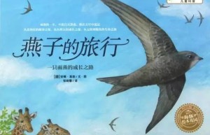 燕子的旅行