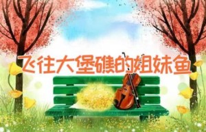 飞往大堡礁的姐妹鱼