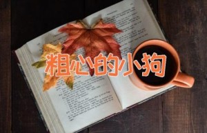 粗心的小狗