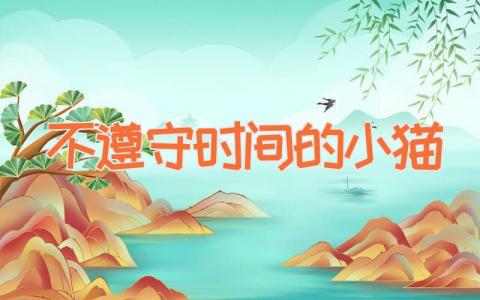 不遵守时间的小猫
