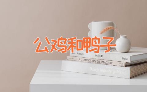 公鸡和鸭子