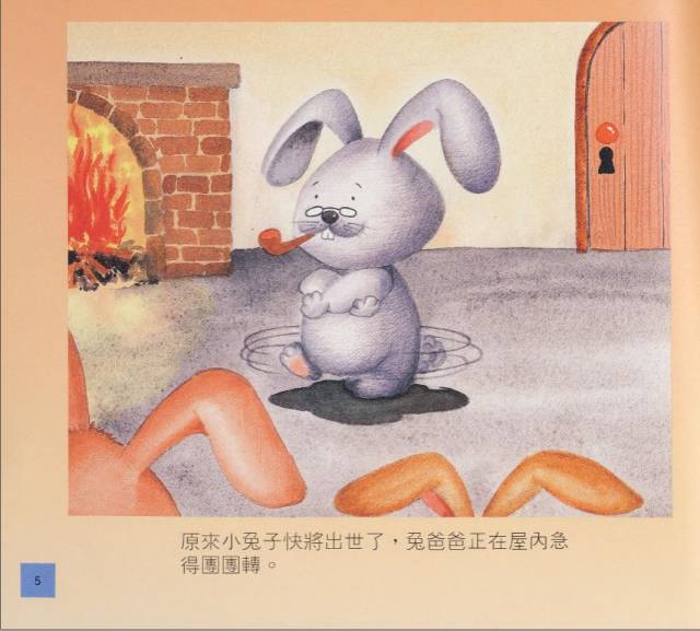 短耳朵的洛洛4.jpg