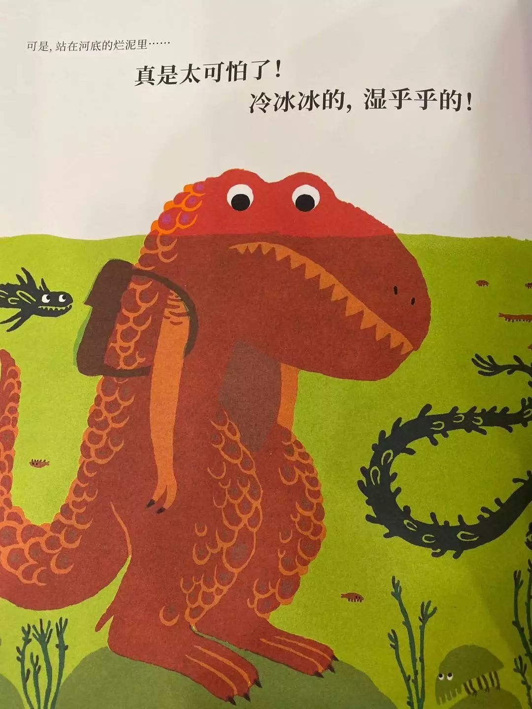 不吃肉的霸王龙13.jpg