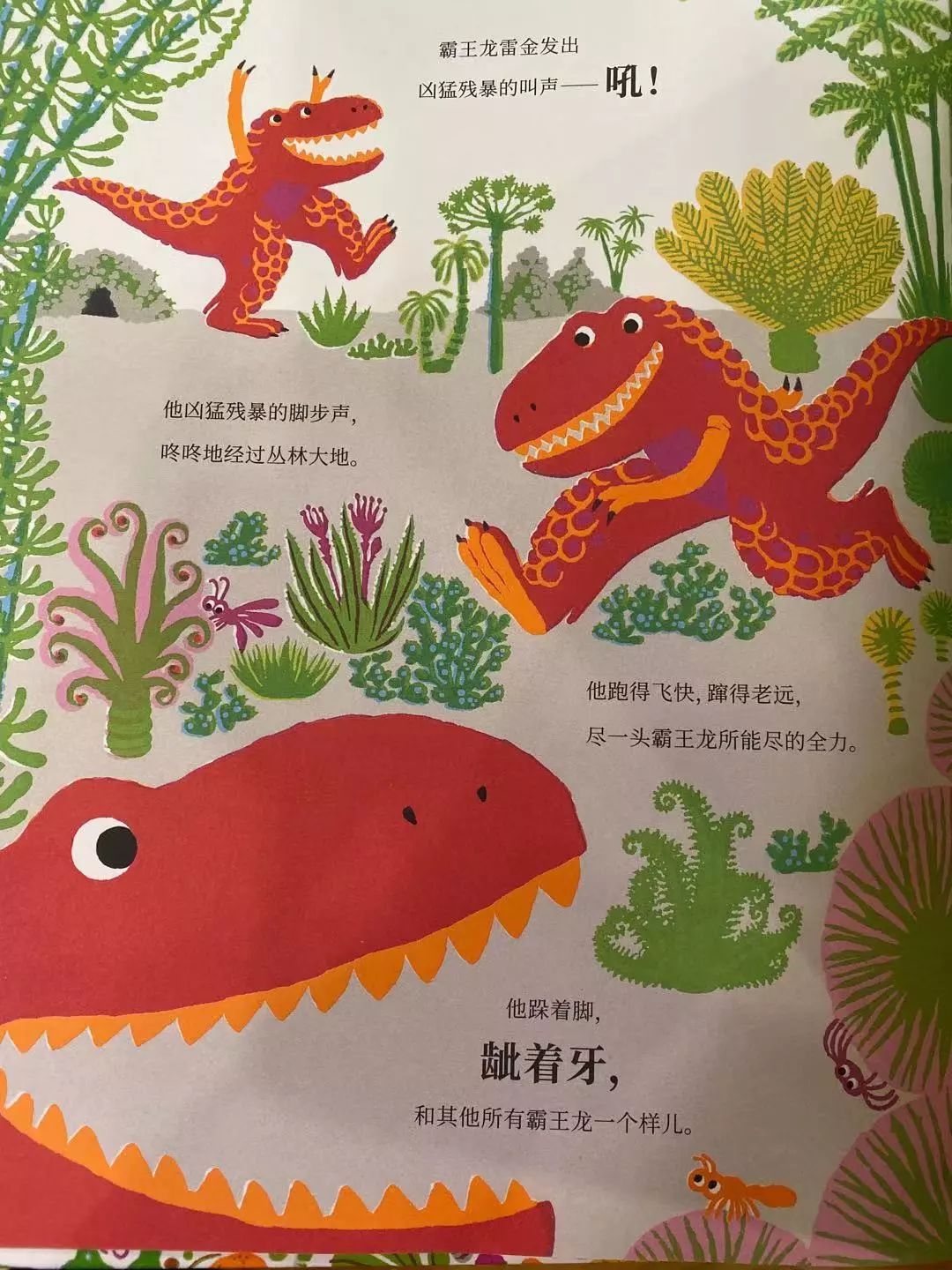 不吃肉的霸王龙2.jpg