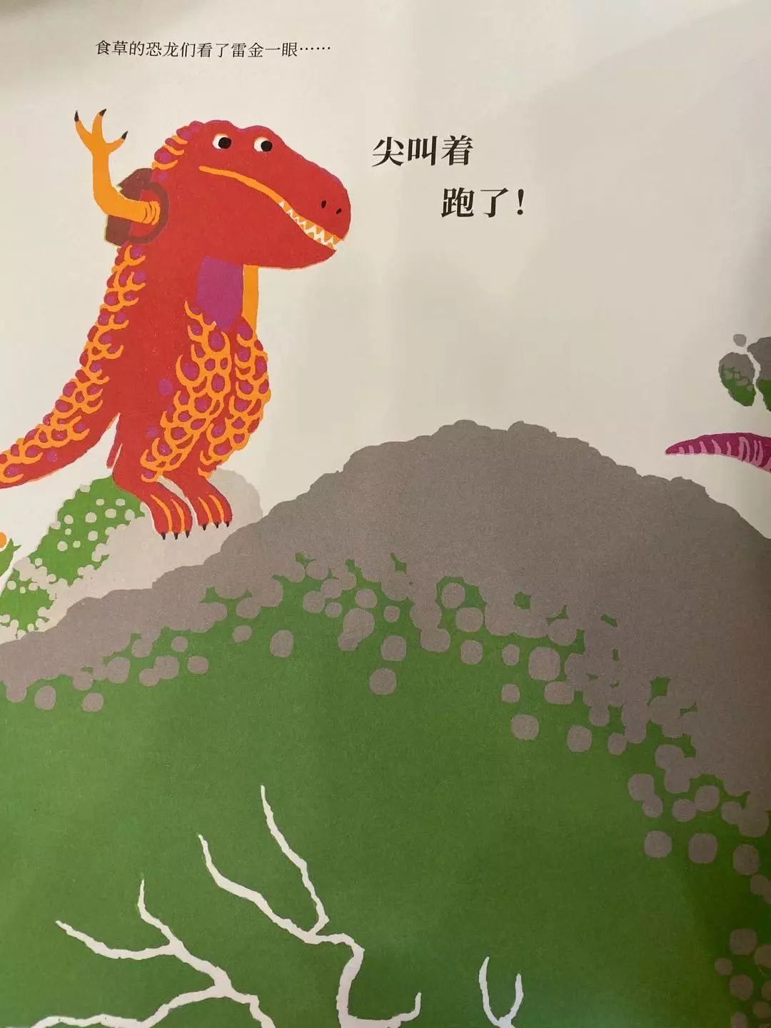 不吃肉的霸王龙17.jpg