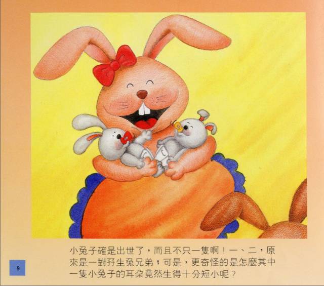 短耳朵的洛洛8.jpg