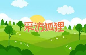 采访狐狸-缩略图儿童故事