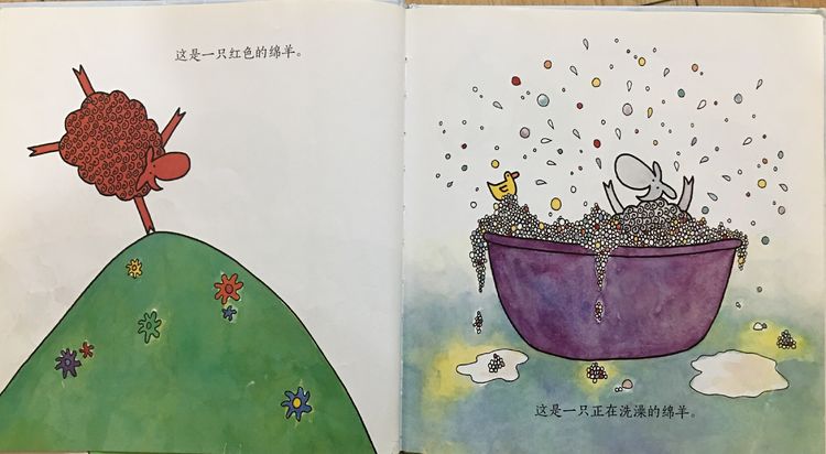 绿绵羊在哪里？5.jpeg