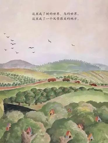 鸟窝27.jpg