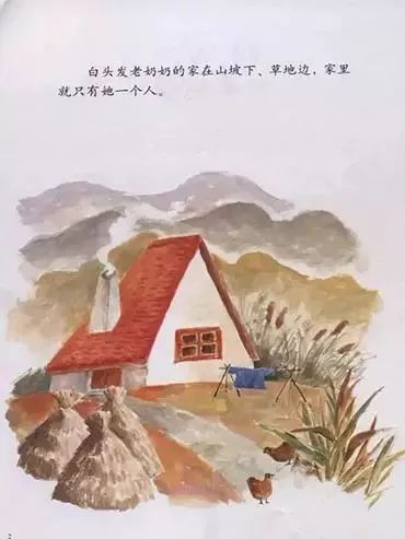 鸟窝4.jpg
