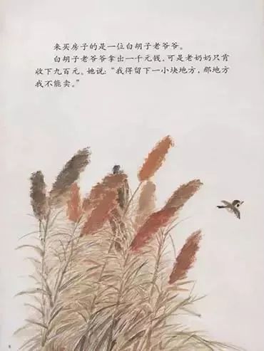 鸟窝10.jpg