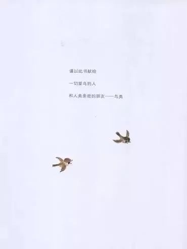 鸟窝2.jpg