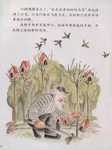 鸟窝22.jpg