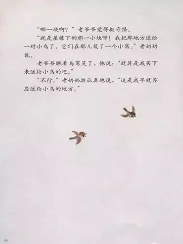 鸟窝12.jpg