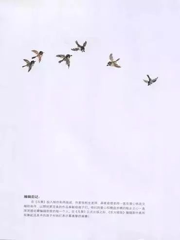 鸟窝28.jpg