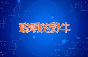 聪明的野牛-缩略图儿童故事